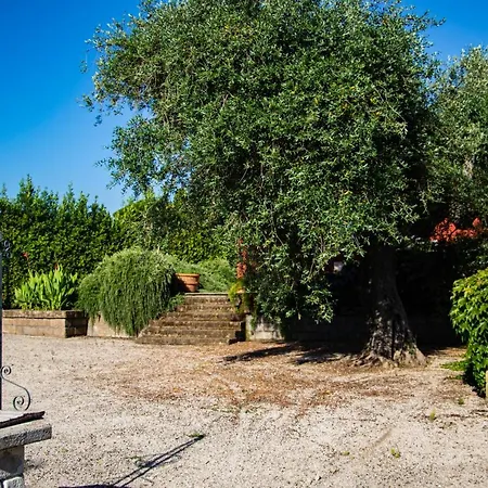 Maison d'hôtes Selva Castalda *
